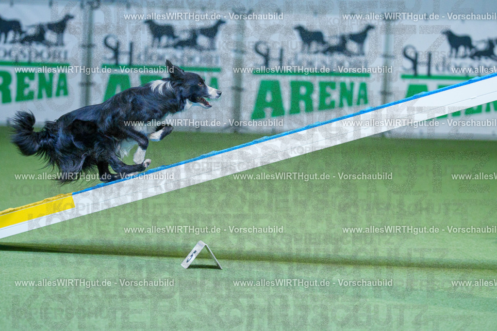 @allesWIRTHgut_Tierfotografie - www.allesWIRTHgut.de - 2604260809-7R506734 | Professionelle Tierfotografie in Mönchengladbach von Daniel Wirth (allesWIRTHgut). Liebevolle & natürliche Bilder von Hunden & Katzen für unvergessliche Erinnerungen.