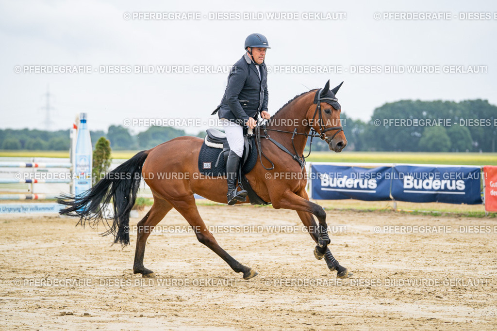 DSC02369 | Pferdegrafie