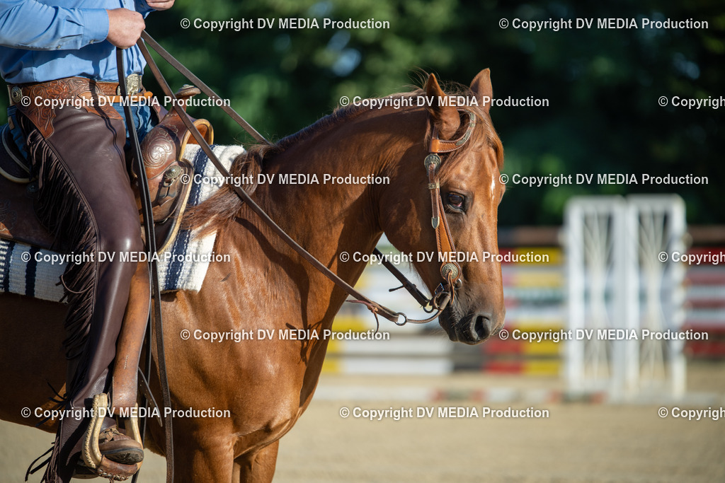 ZS1_0591 | dv-media-shop - Realisiert mit Pictrs.com