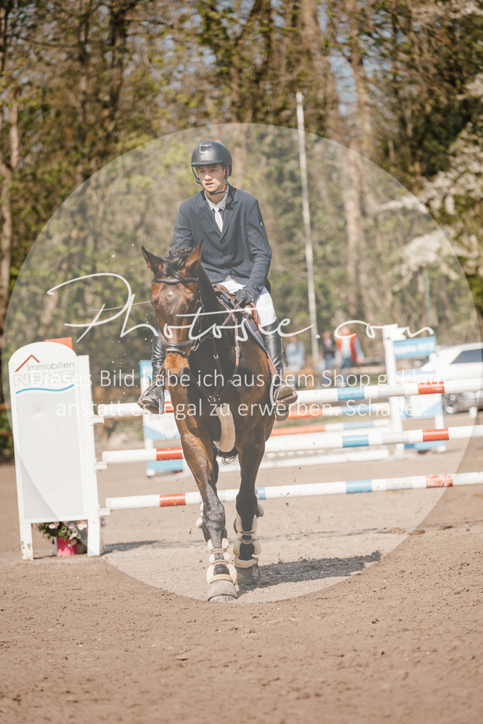3I6A4081 | Stimmungsvolle Portraits und Reitsportfotografie im Ruhrgebiet und im Münsterland.

Pferdefotografie, Hundefotografie, Tierfotografie, Reportagen, Portraits von Tier und Mensch, Turnierfotografie in Bochum, Recklinghausen, Marl, Haltern am See, Dülmen.. - Realisiert mit Pictrs.com