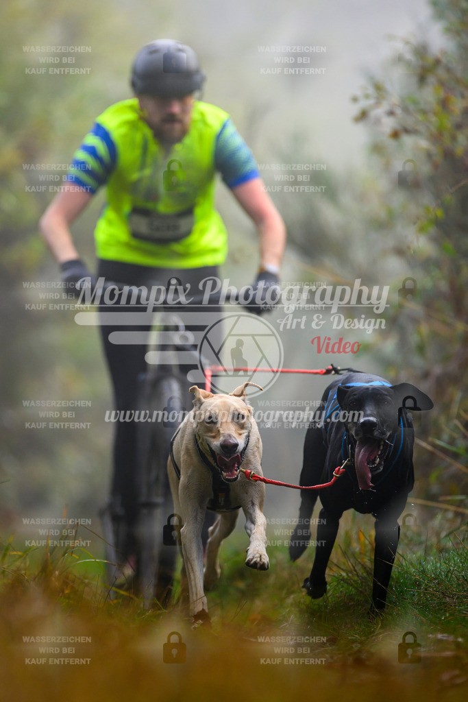 MompixPhotography_20TSB_E4_DS2-23 | PayLife