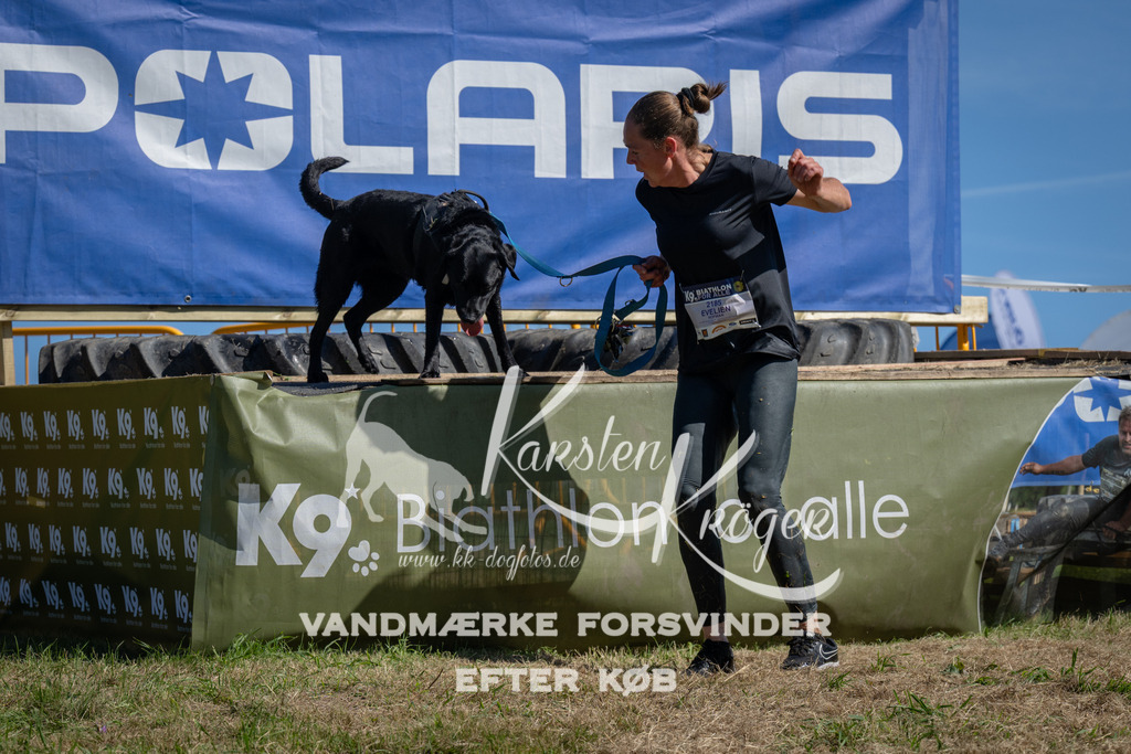 1116_ZZ91034 | kk-dogfotos