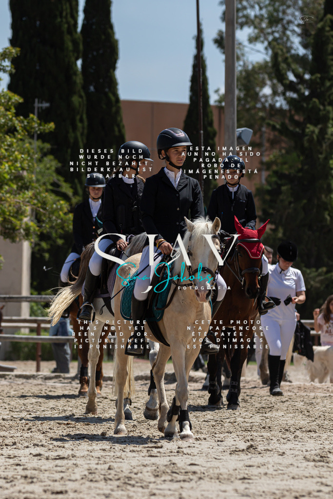 IMG_0365 | s-jay-photography - Realisiert mit Pictrs.com