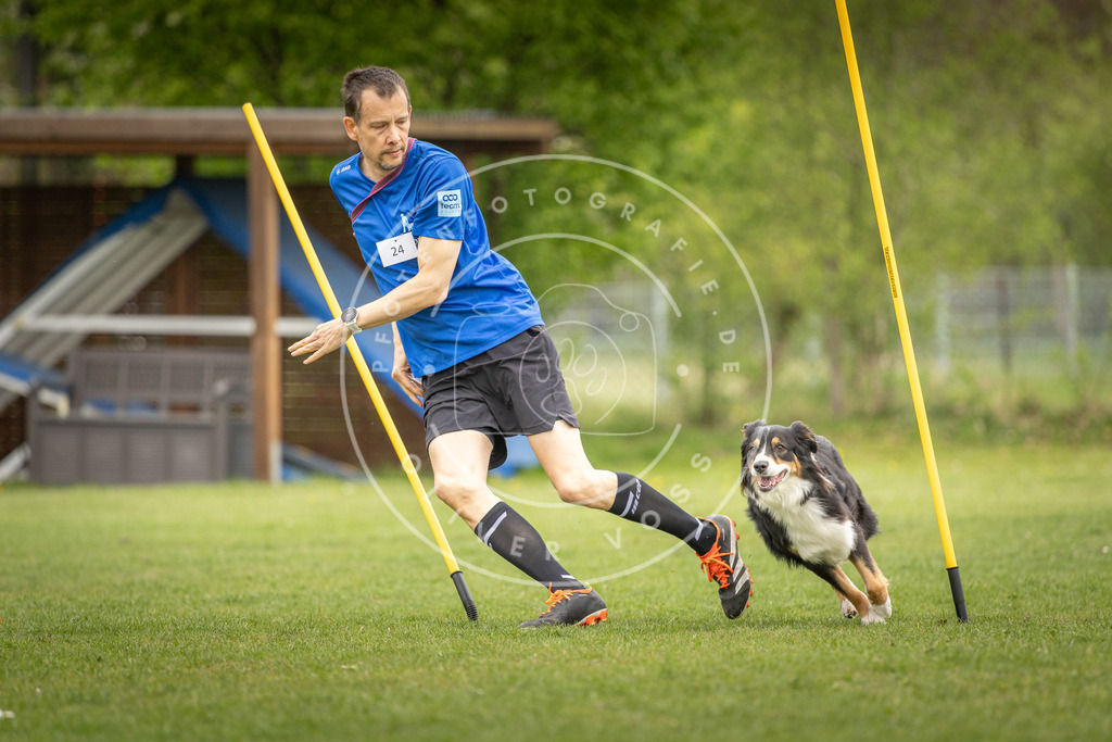 Pfotenfotografie_DV3A0165 | Hundefotografie, Tierfotograf, Pfotenfotografie, Fotoshooting Hund, Hunde Portrait, Hundesport, Hundeportraits, Heideshooting, Hunde, Sportfotograf, Hundefotograf, Turnierhundsport, THS,  - Realisiert mit Pictrs.com