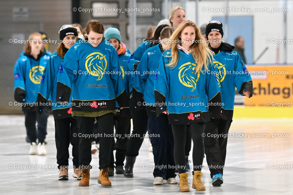 ESC Soccerzone Steindorf 50 Jahr Feier 26.2.2023 | ESC Unicorns