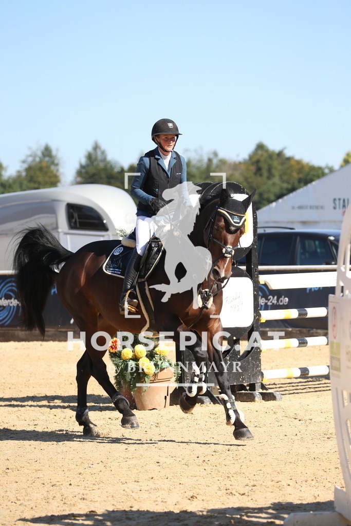 DL2Q3024 | Willkommen bei Brunnmayr - Design & Fotografie – Ihrem Spezialisten für Reitturniere und Pferdeveranstaltungen in Oberösterreich, Salzburg und Bayern! Seit über 17 Jahren sind wir leidenschaftlich dabei.