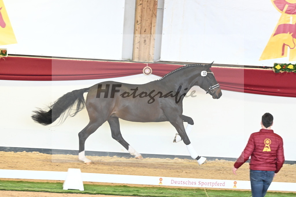 Kat.-Nr. 52 v. Friedrich der Große_Fischer_2240622 | hf-fotografie - Realisiert mit Pictrs.com
