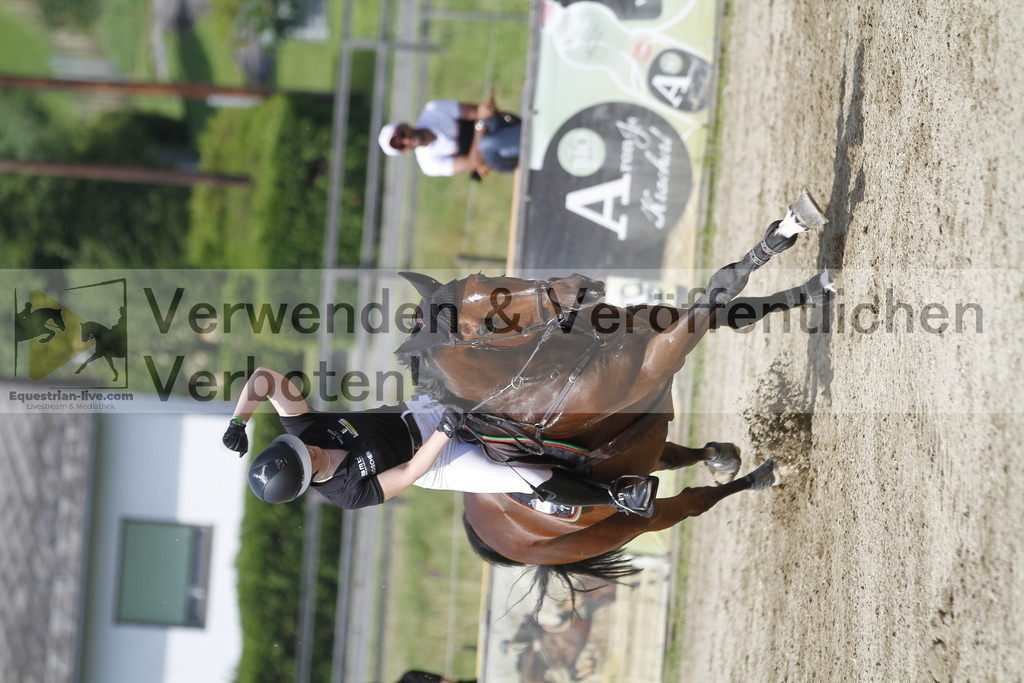 _MG_6266 | equestrian-live-com