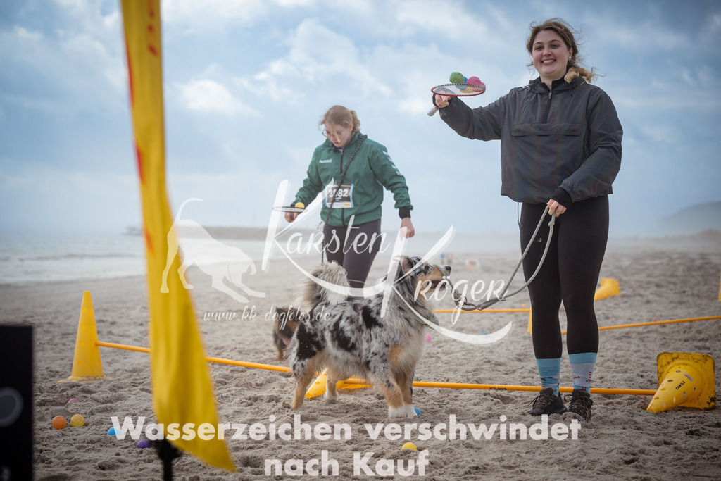1202_ZZ93752 | kk-dogfotos
