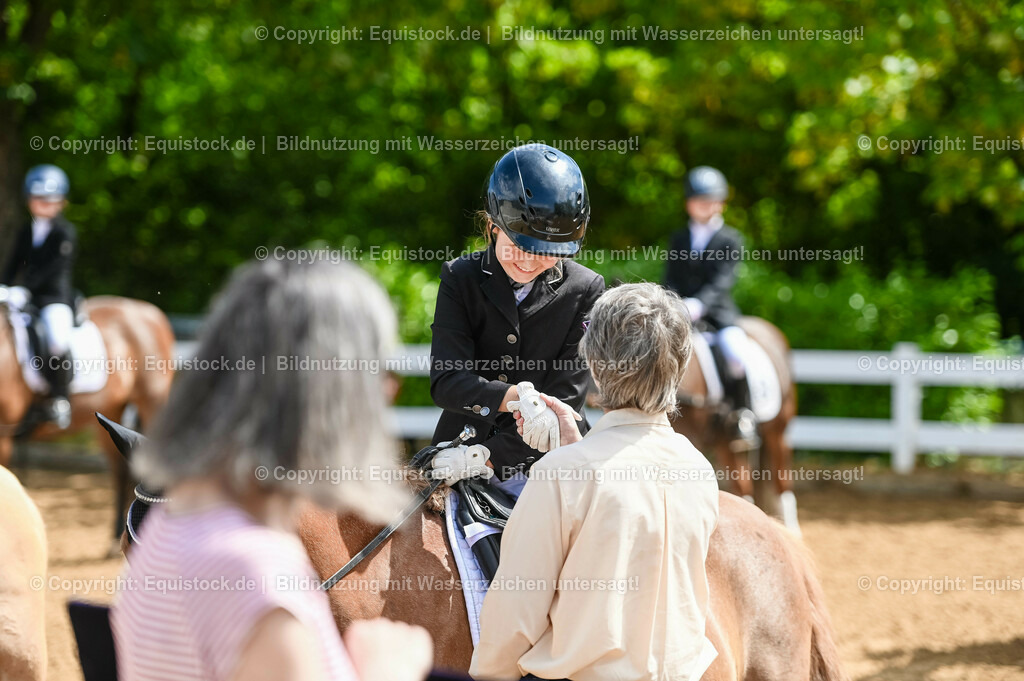 20230716_10-3_Reiter-WB Schritt - Trab - Galopp_0208 | equistock