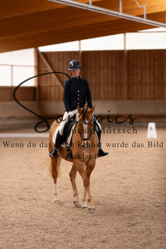 A7506905 | Turnier/Reitfotograf
