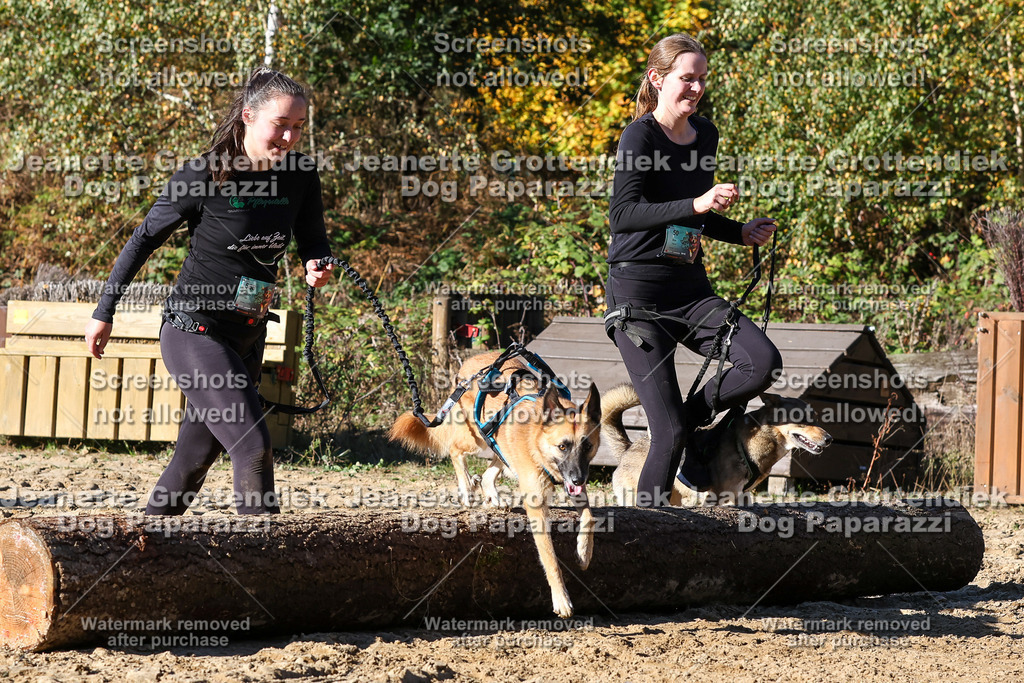 Dog Paparazzi - Strongdog 10-25-2382 | Dog Paparazzi Jeanette Grottendiek Fotografie & Videografie - Realisiert mit Pictrs.com