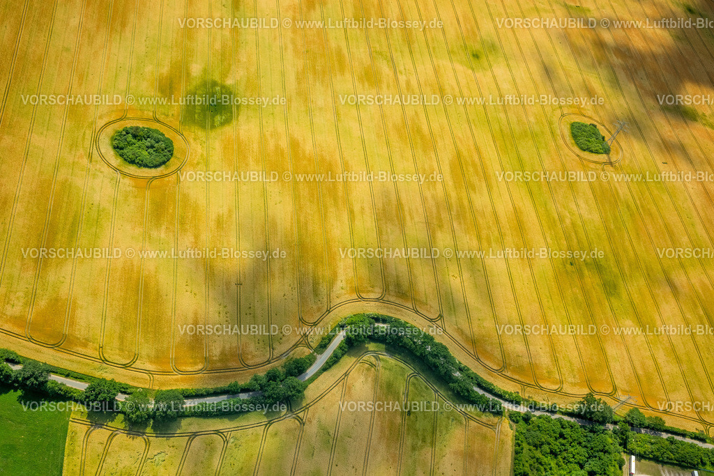 Reinfeld15069100Trave | Kornfeld mit Buschhecken in Form eines Gesichtes,  Bad Oldesloe, Schleswig-Holstein, Deutschland