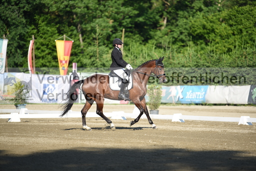 DSC_6818 | equestrian-live-com