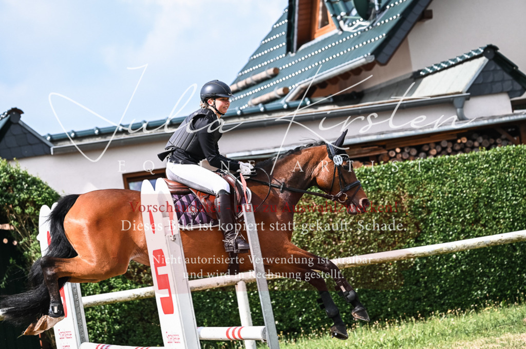 DSC_8427 | Pferde- und Turnierfotografie in Westsachsen. Pferdeportraits, Auftragszeichnungen und intuitive Kunst.