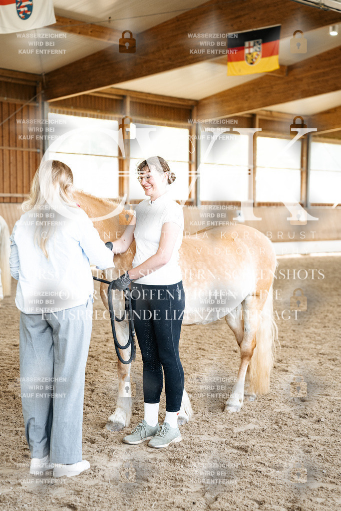 CK703260 | Turnierfotografie Pferdefotografie Trier Rheinland-Pfalz Pferdesport Reitsport Tierfotografie Sportfotografie Pferdevideo Pferdevideografie Equestrianvideography equestrianphotography  - Realized with Pictrs.com