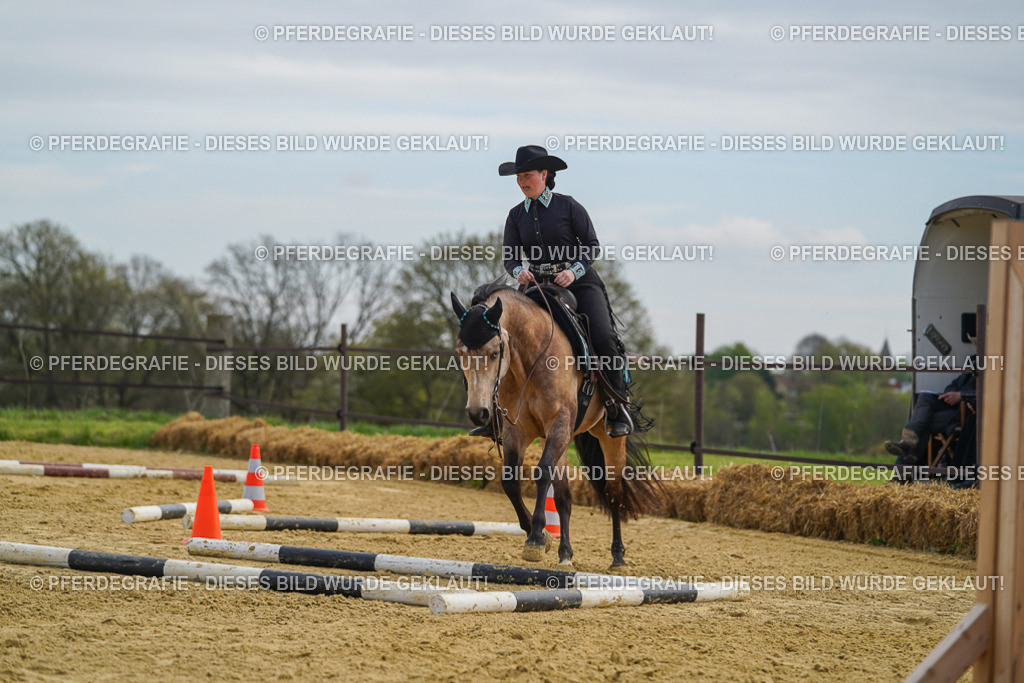 DSC03825 | Pferdegrafie