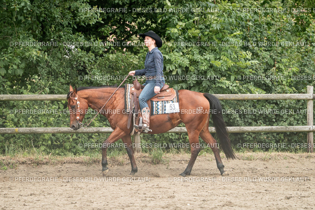 DSC04131 | Pferdegrafie