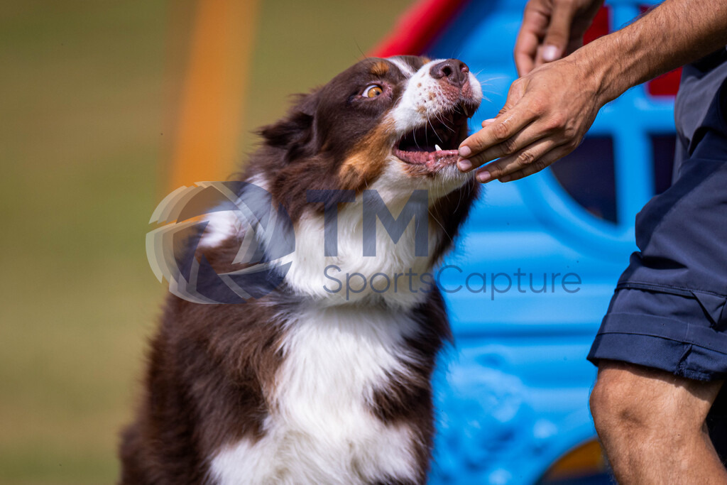 TP-20240815-0131 | Copyright: Trainproduction / Matthias Trinkl