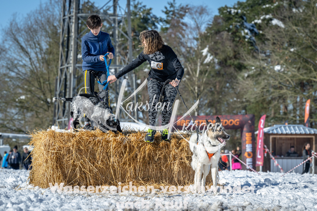1155_ZZ91599-4 | kk-dogfotos