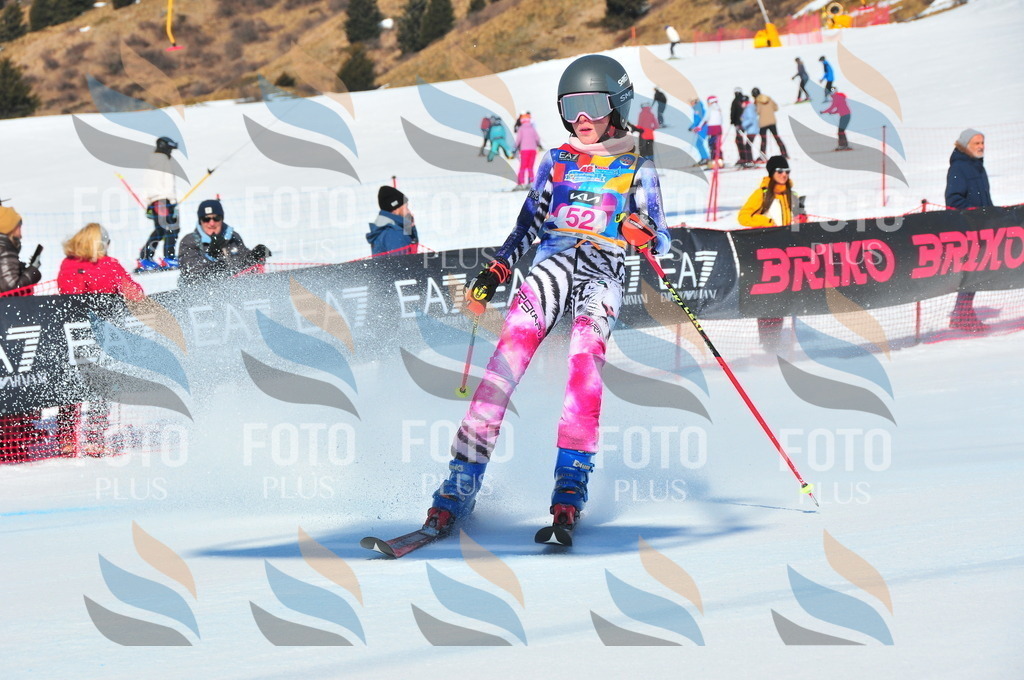 DSC_4113 | holidayphoto