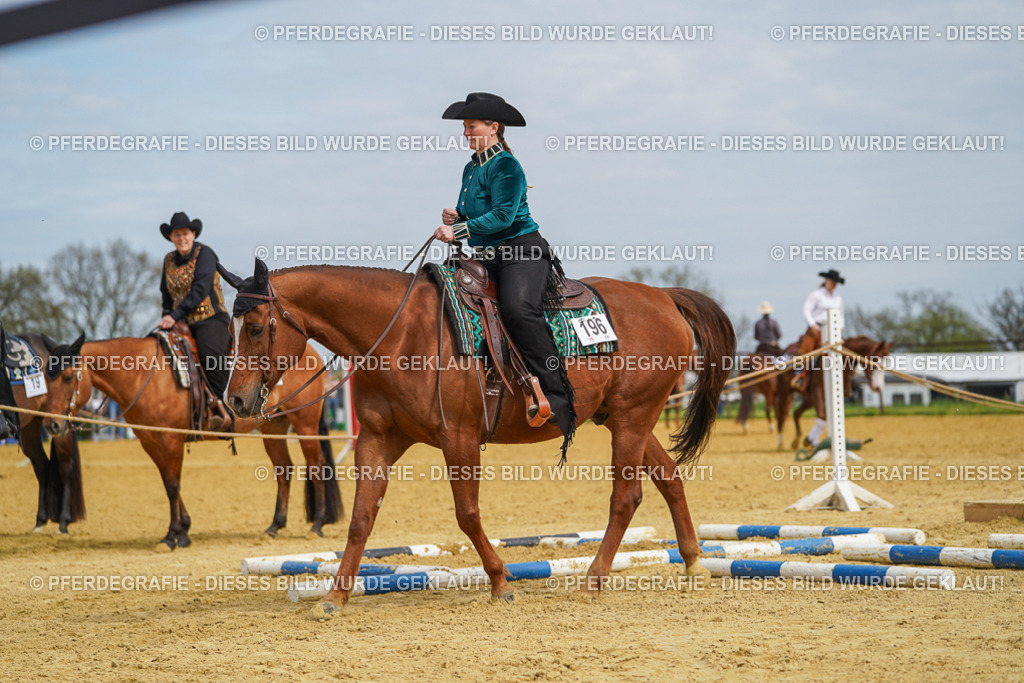 DSC03691 | Pferdegrafie