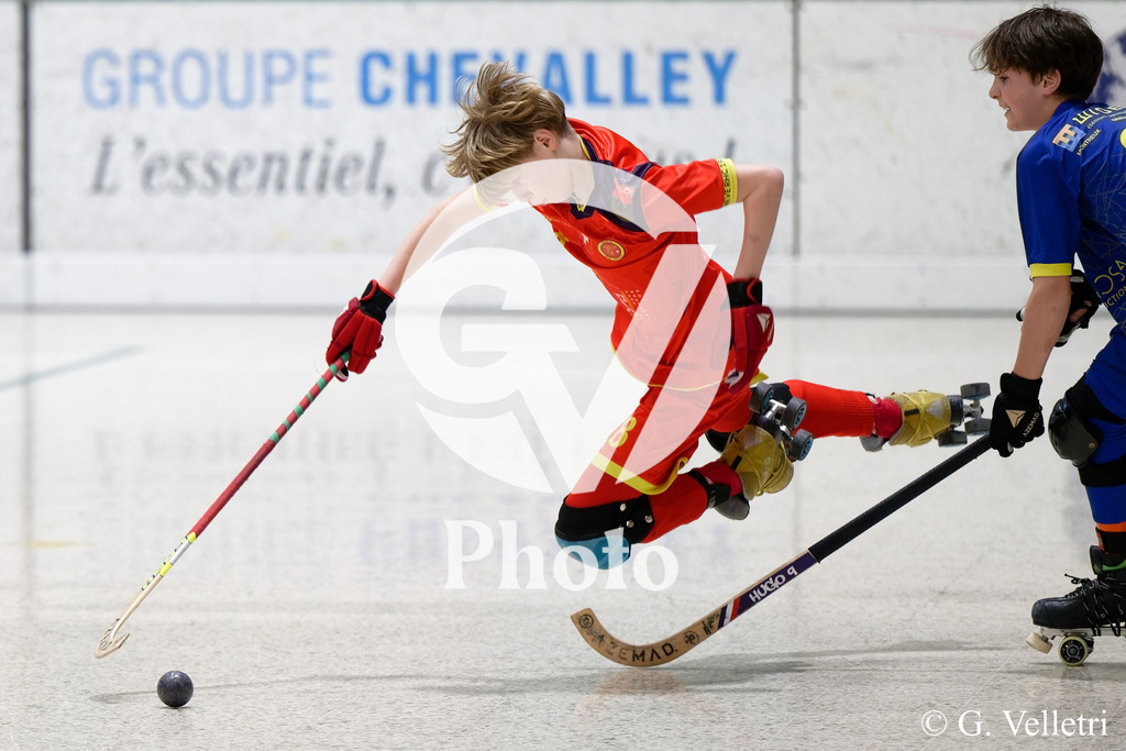 DSC_6001_M | Velletri Photo