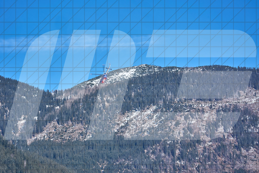 10. Holzknecht Skijöring in Gosau am Dachstein, Oberösterreich, Österreich am 08.02.2025Foto: © 2025 Martin Bihounek / martinbihounek.com | 08.02.2025: 10. Holzknecht Skijöring in Gosau am Dachstein, Oberösterreich, ÖsterreichFoto: © 2025 Martin Bihounek / martinbihounek.comInsta: @martinbihounekcomFB: @martinbihounekphotography