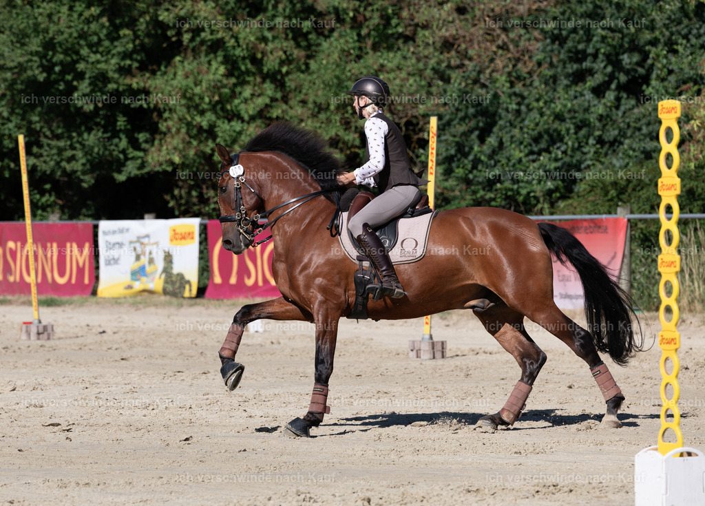 WL_Speed_106_KerstinBernhardt-4 | working equitationturnier fotograf videograf stoibphotography marixx film working equitation deutschland reitsport turnierfotografie eventfotografie equestrian events