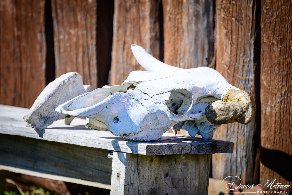 El Calafate in Argentinien  | El Calafate in Argentinien