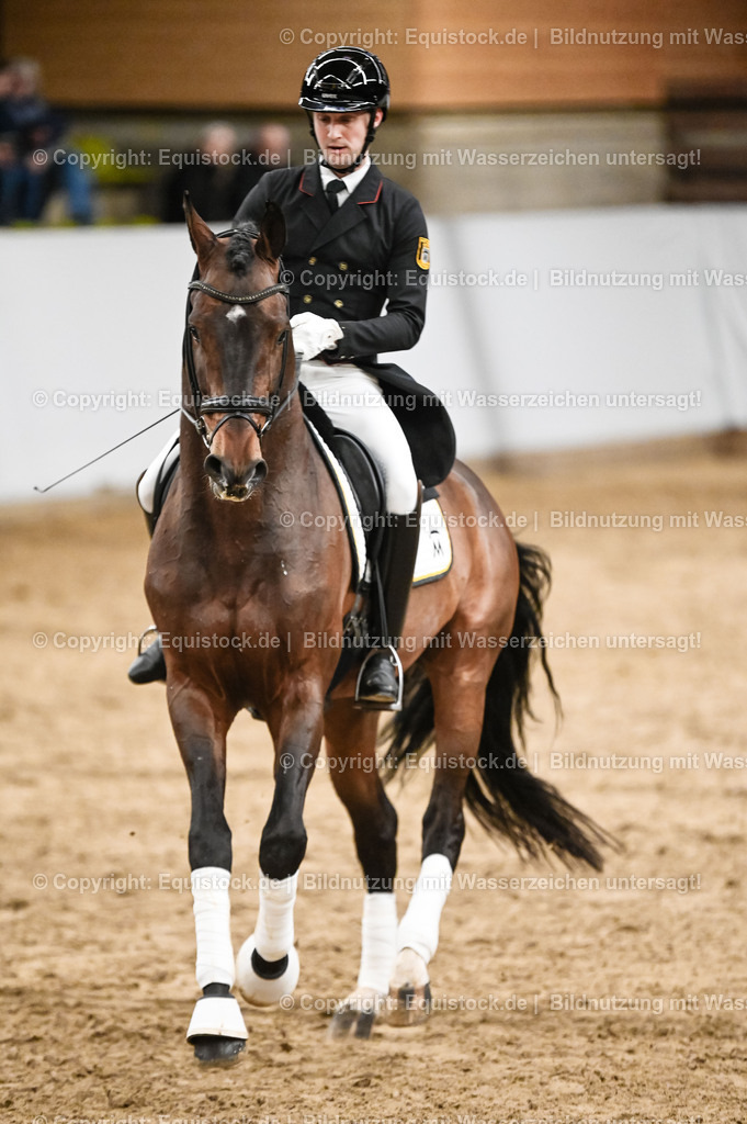 20260307_Hengstvorstellung-Marbach_0360 | equistock