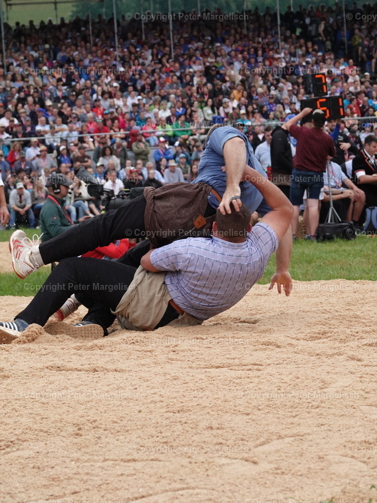DSC04831 | Schwingen - Realisiert mit Pictrs.com