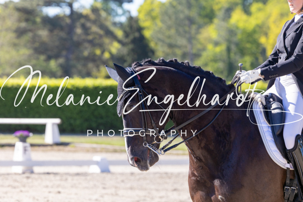 7I8A2538 | melanie-engelhardt-photography - Realisiert mit Pictrs.com