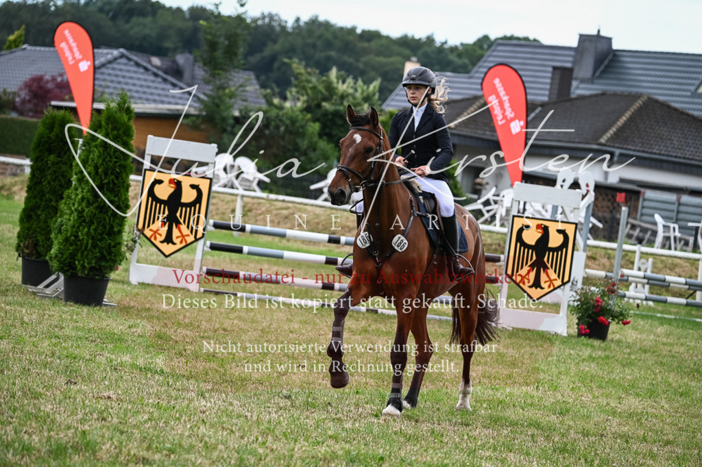 DSC_8499 | Pferde- und Turnierfotografie in Westsachsen. Pferdeportraits, Auftragszeichnungen und intuitive Kunst.