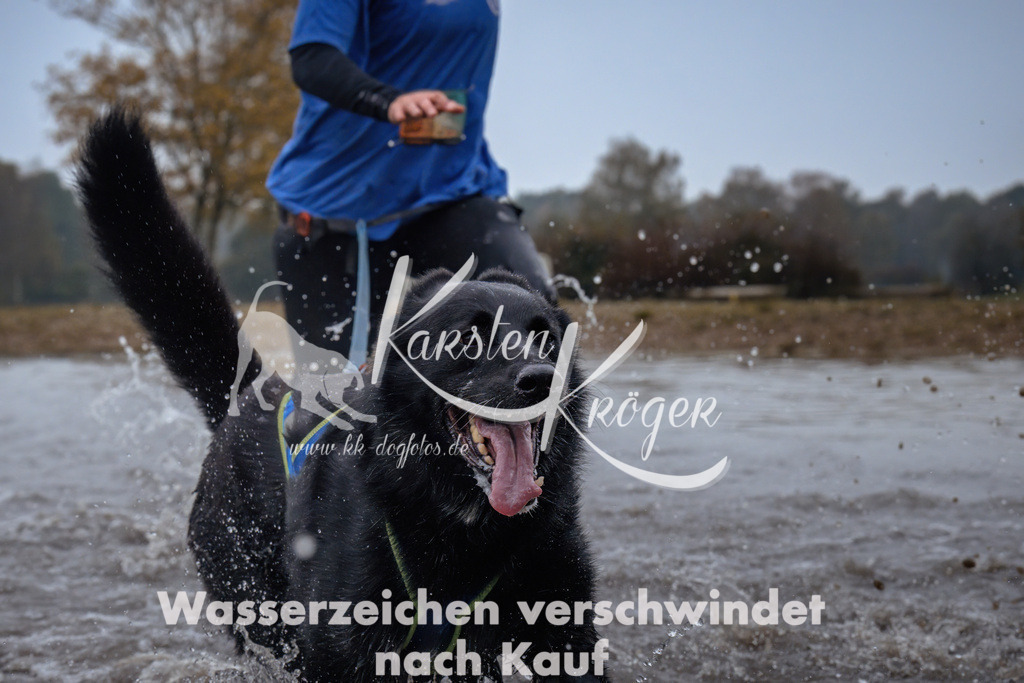 0929_ZZ95318 | kk-dogfotos