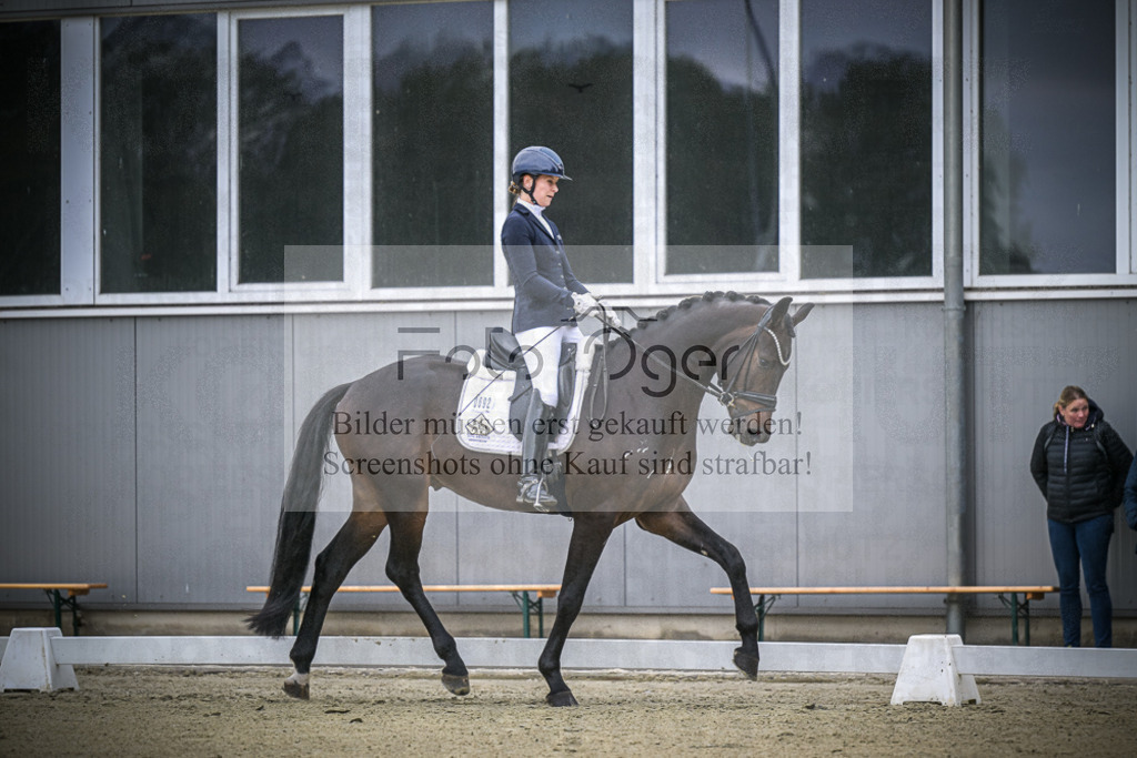 DOS_0222 | Entdecke hochwertige Reitturnierfotos von Foto Oger. Professionell, emotional und authentisch – jetzt Lieblingsmomente im Shop bestellen.Deutschlandweite Turnierfotografie. - Realisiert mit Pictrs.com