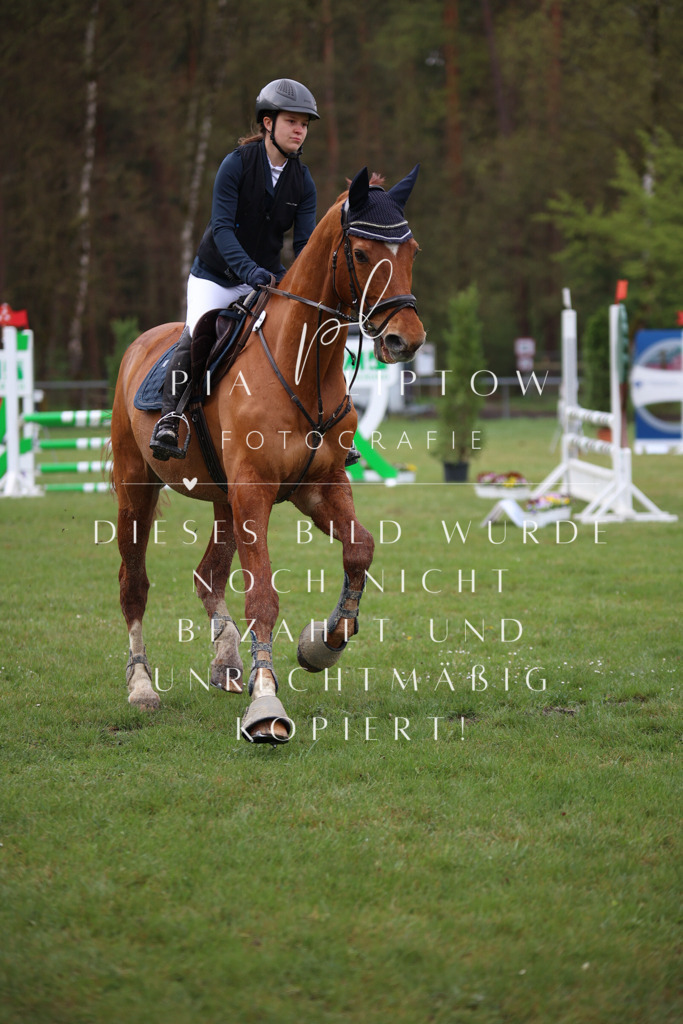 IMGT3106 | pl-fotografie