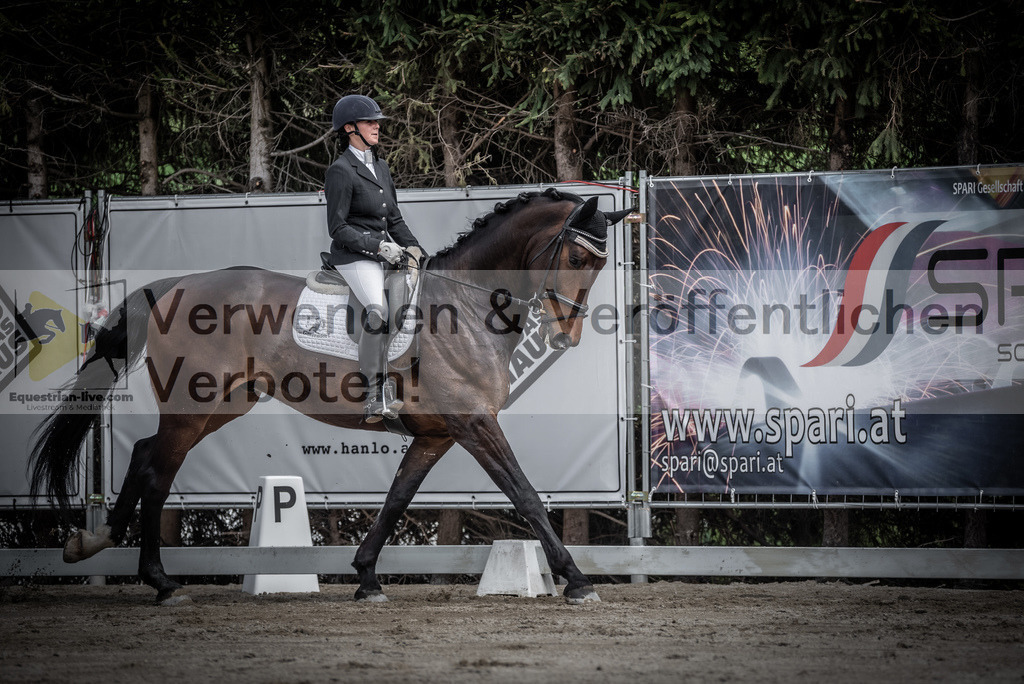 DSC_2305 | equestrian-live-com
