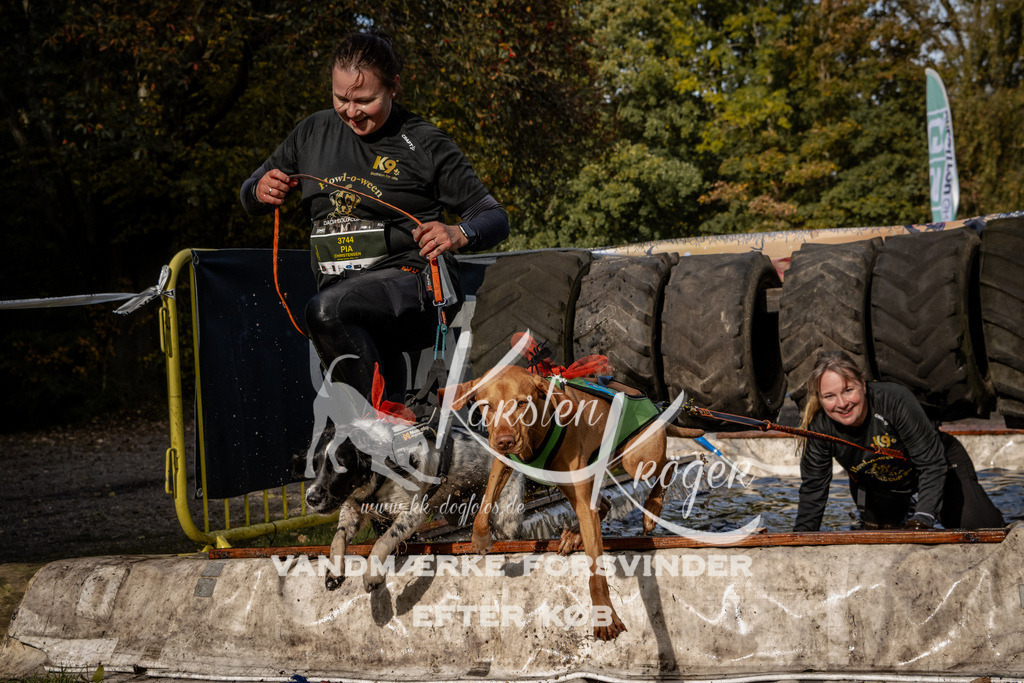 1400_ZZ93668 | kk-dogfotos