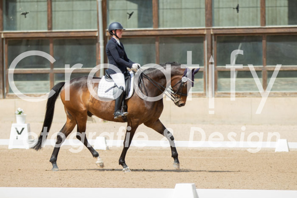 IMG_5614 | Creatify Fotografie