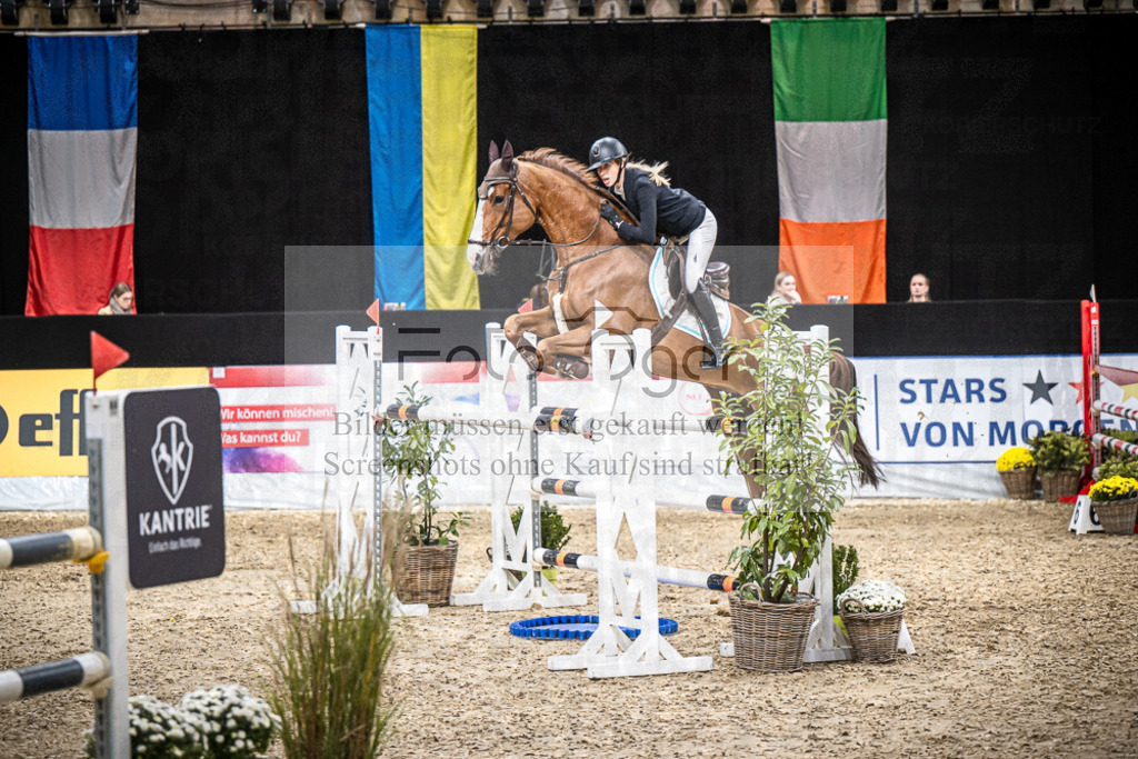 DOS_0931 | Entdecke hochwertige Reitturnierfotos von Foto Oger. Professionell, emotional und authentisch – jetzt Lieblingsmomente im Shop bestellen.Deutschlandweite Turnierfotografie. - Realisiert mit Pictrs.com