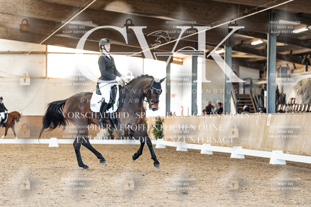 CK908852 | Turnierfotografie Pferdefotografie Trier Rheinland-Pfalz Pferdesport Reitsport Tierfotografie Sportfotografie Pferdevideo Pferdevideografie Equestrianvideography equestrianphotography  - Realisiert mit Pictrs.com