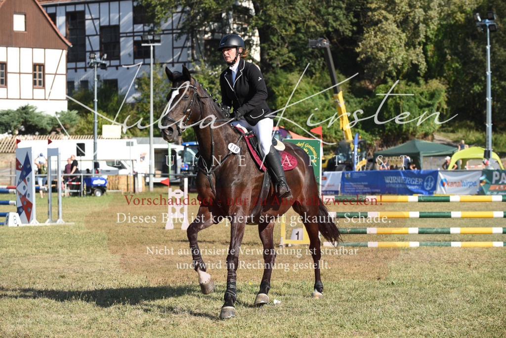 DSC_5378 | Pferde- und Turnierfotografie in Westsachsen. Pferdeportraits, Auftragszeichnungen und intuitive Kunst.