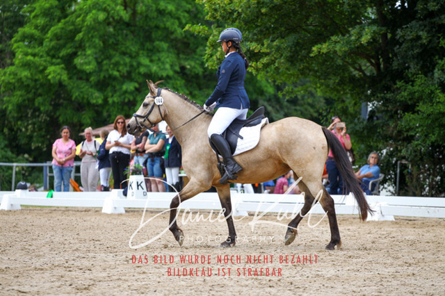 DKP46273 | Turnierfotos kaufen im Webshop von Daniel Kuhl Photography – entdecke professionelle Reitsportfotos aus Turnieren & Events. Hochwertige Turnierbilder online bestellen & sichern. Jetzt Fotos von Reitsportturnieren kaufen!