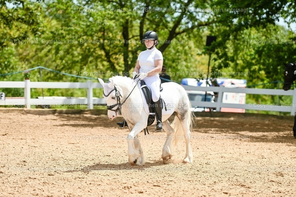 20230715_05_Dressurprüfung Kl.A++_0243 | equistock