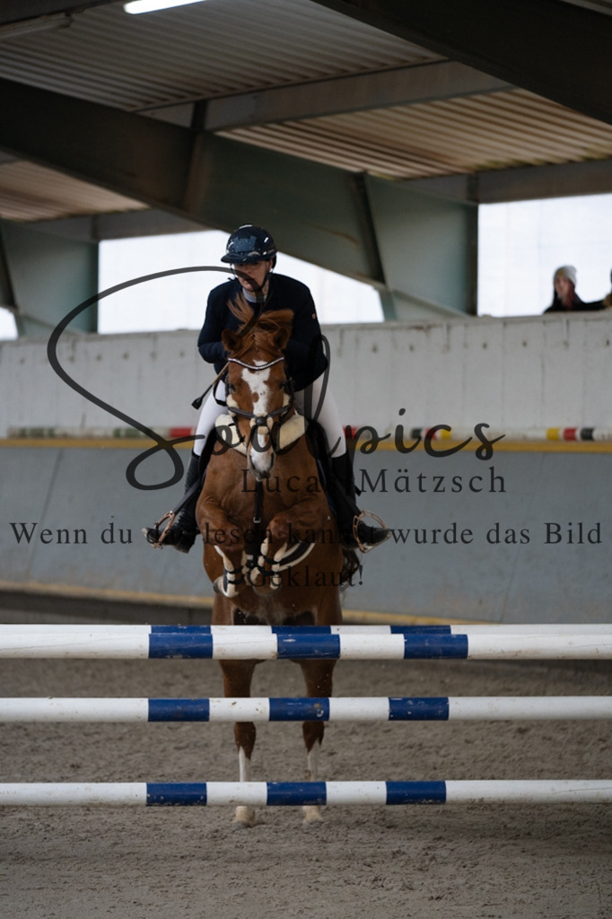 A7V07406 | Pferdefotograf