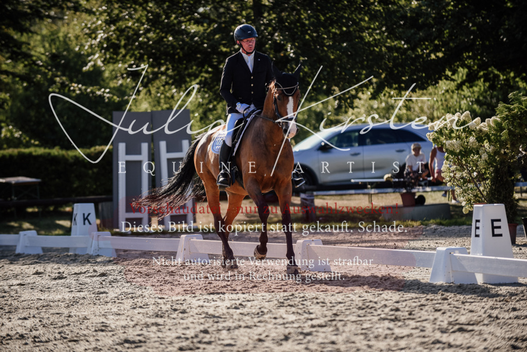 DSC_0615 | Pferde- und Turnierfotografie in Westsachsen. Pferdeportraits, Auftragszeichnungen und intuitive Kunst.