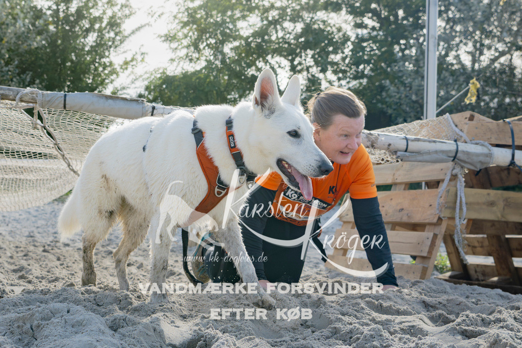 1301_ZZ94604 | kk-dogfotos