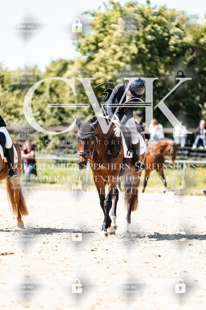 CK905720 | Turnierfotografie Pferdefotografie Trier Rheinland-Pfalz Pferdesport Reitsport Tierfotografie Sportfotografie Pferdevideo Pferdevideografie Equestrianvideography equestrianphotography  - Realisiert mit Pictrs.com