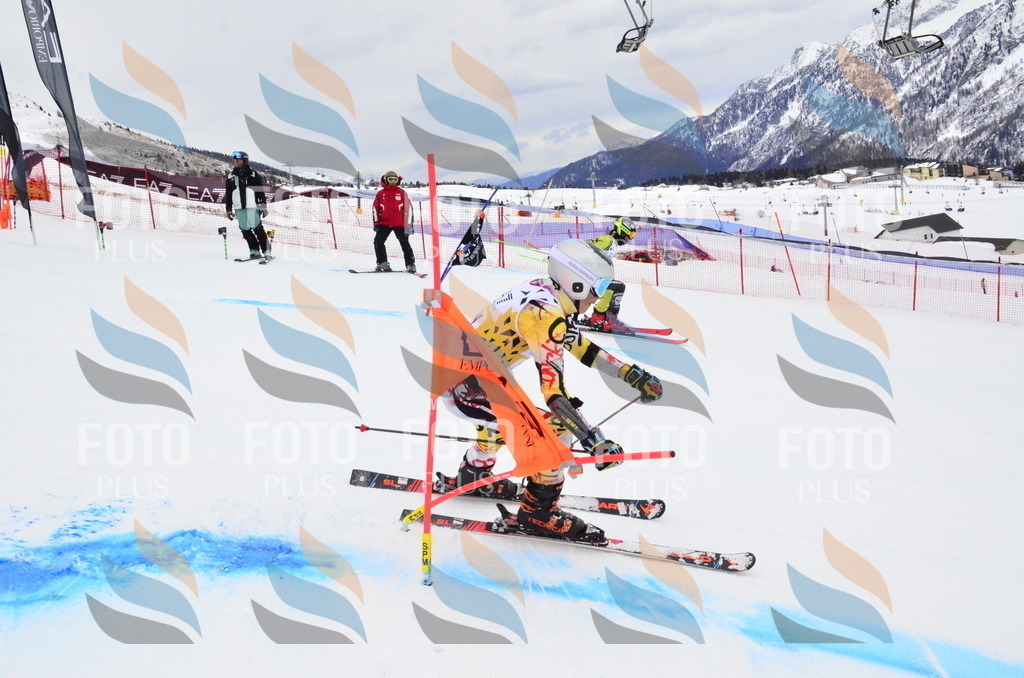 _ELE4135 | holidayphoto